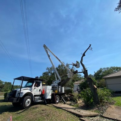 Central Florida Tree & Debris