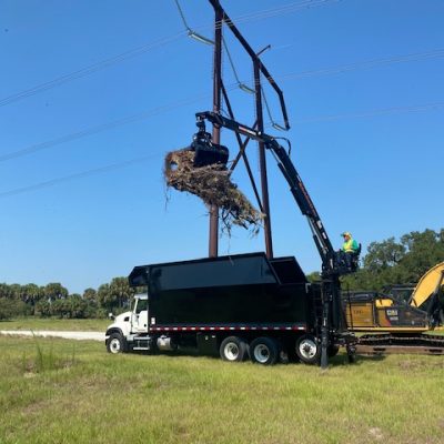 Central Florida Tree & Debris