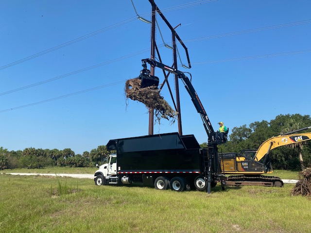 Central Florida Tree & Debris