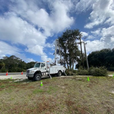 Central Florida Tree & Debris