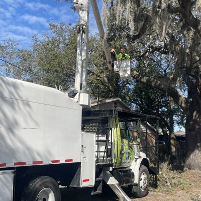 Central Florida Tree & Debris