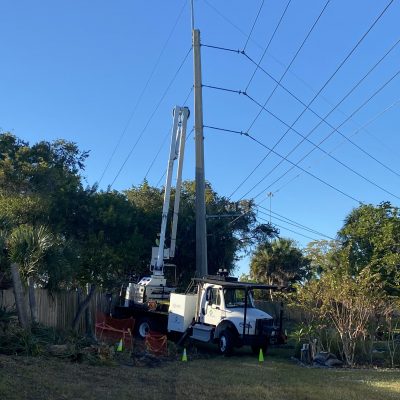 Central Florida Tree & Debris