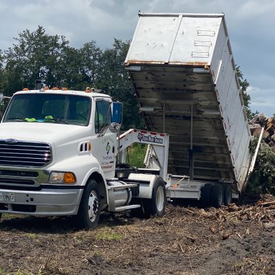 Central Florida Tree & Debris