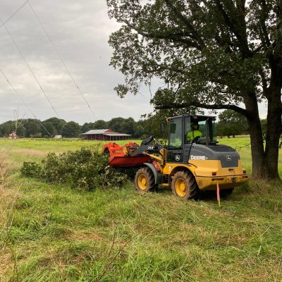 Central Florida Tree & Debris