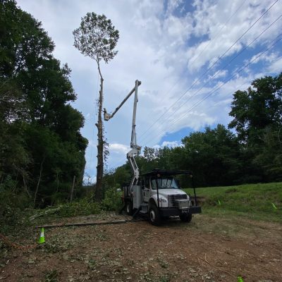 Central Florida Tree & Debris