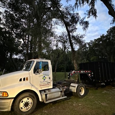 Central Florida Tree & Debris