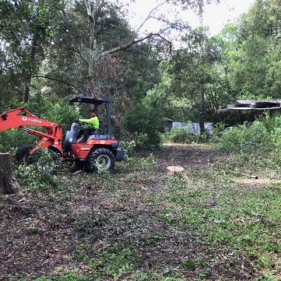 Central Florida Tree & Debris