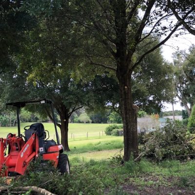 Central Florida Tree & Debris
